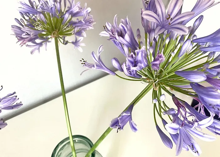 Apartamento Studio_suite05